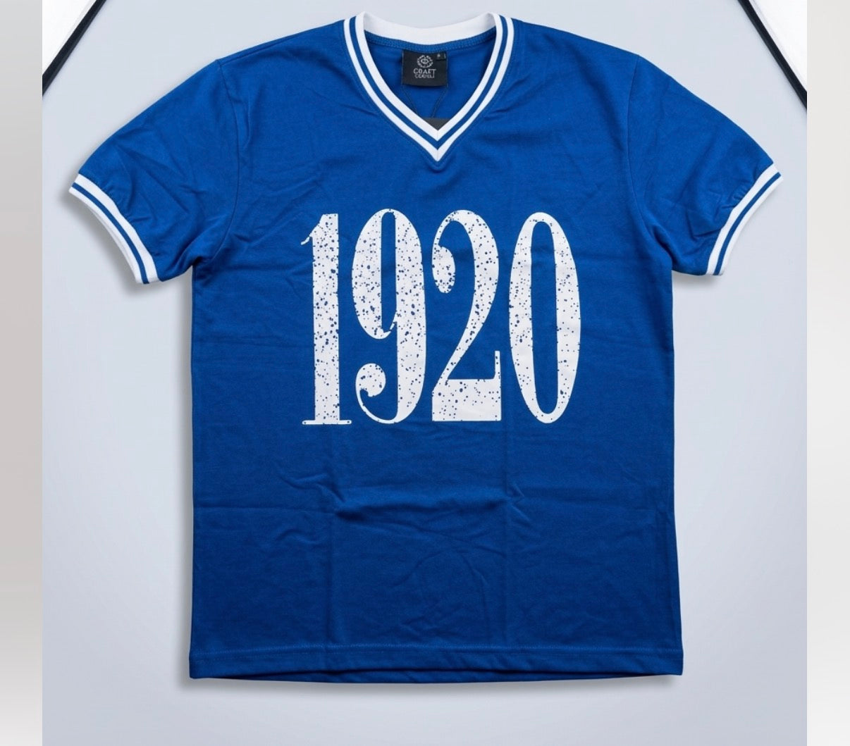Zeta Phi Beta V-neck T-shirt, unisex