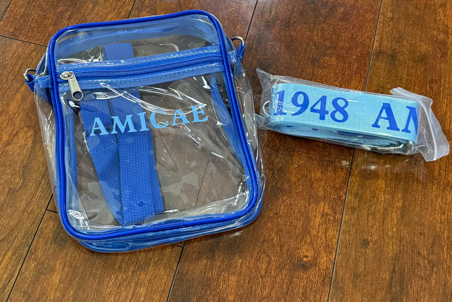 Zeta Amicae clear bag with strap