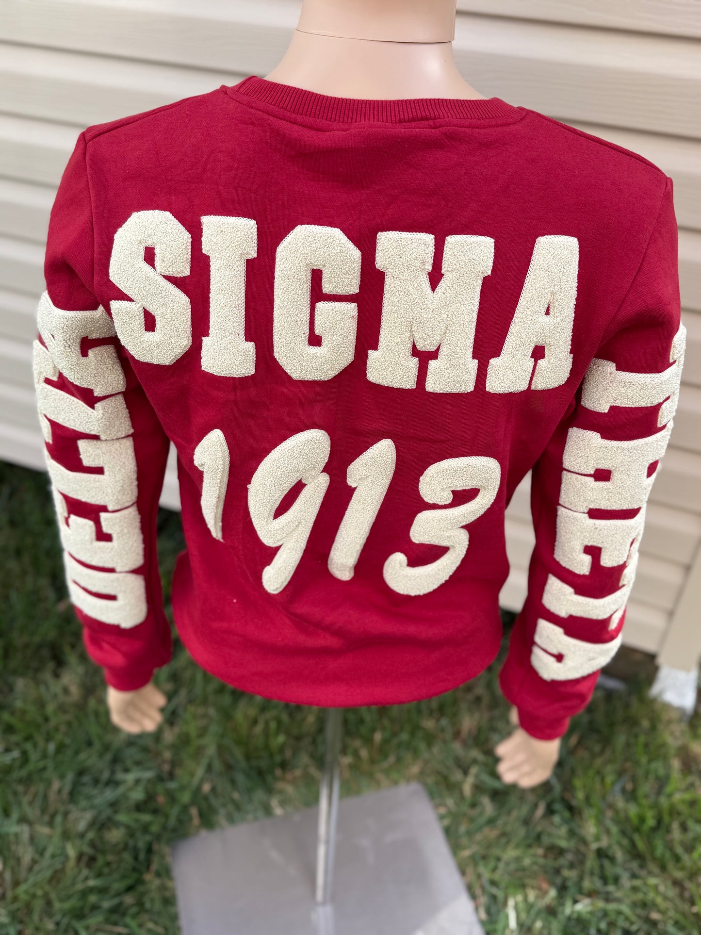 Delta Sigma Theta chenille unisex sweatshirt