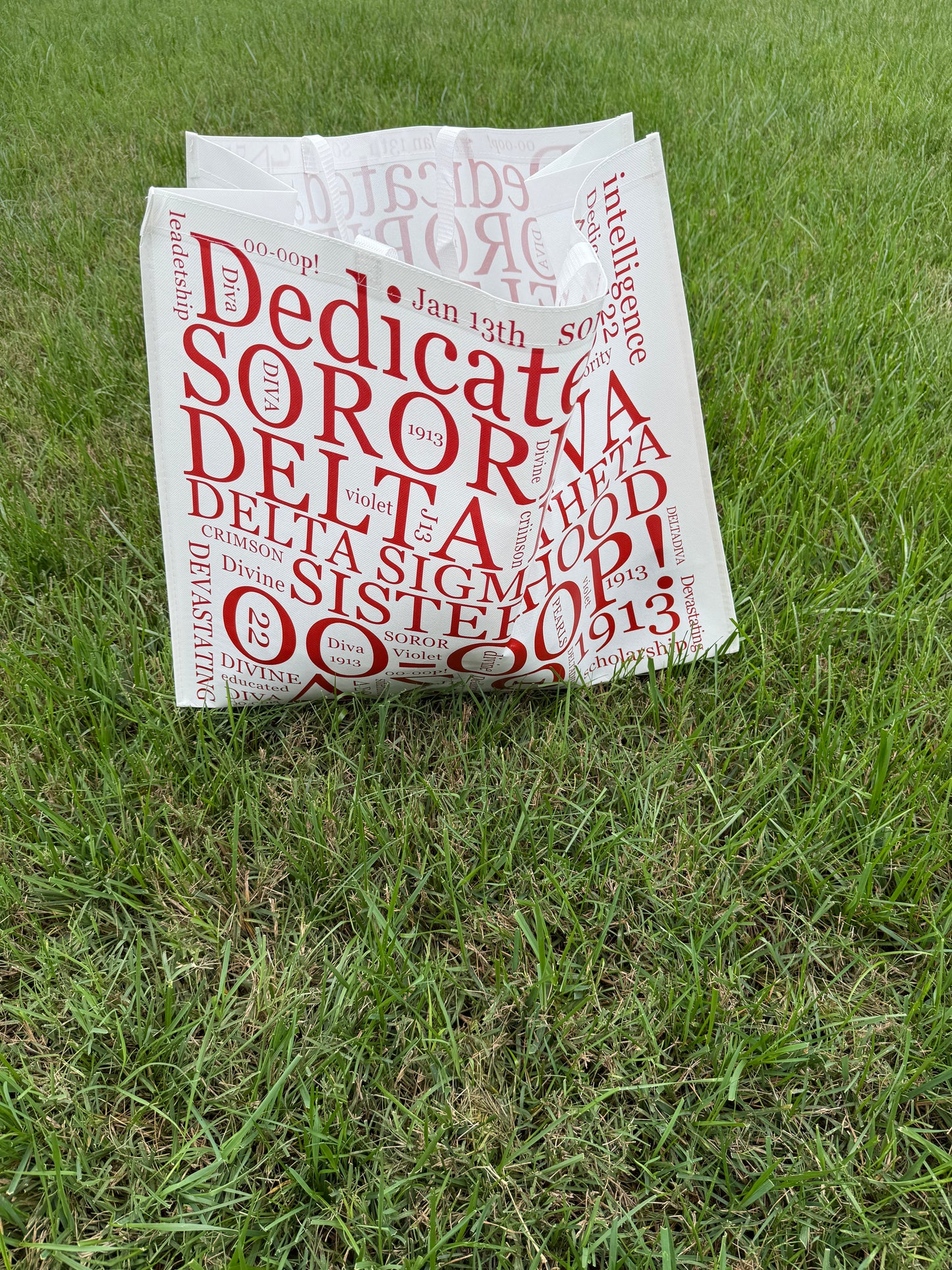 Delta Sigma Theta large shopping bag