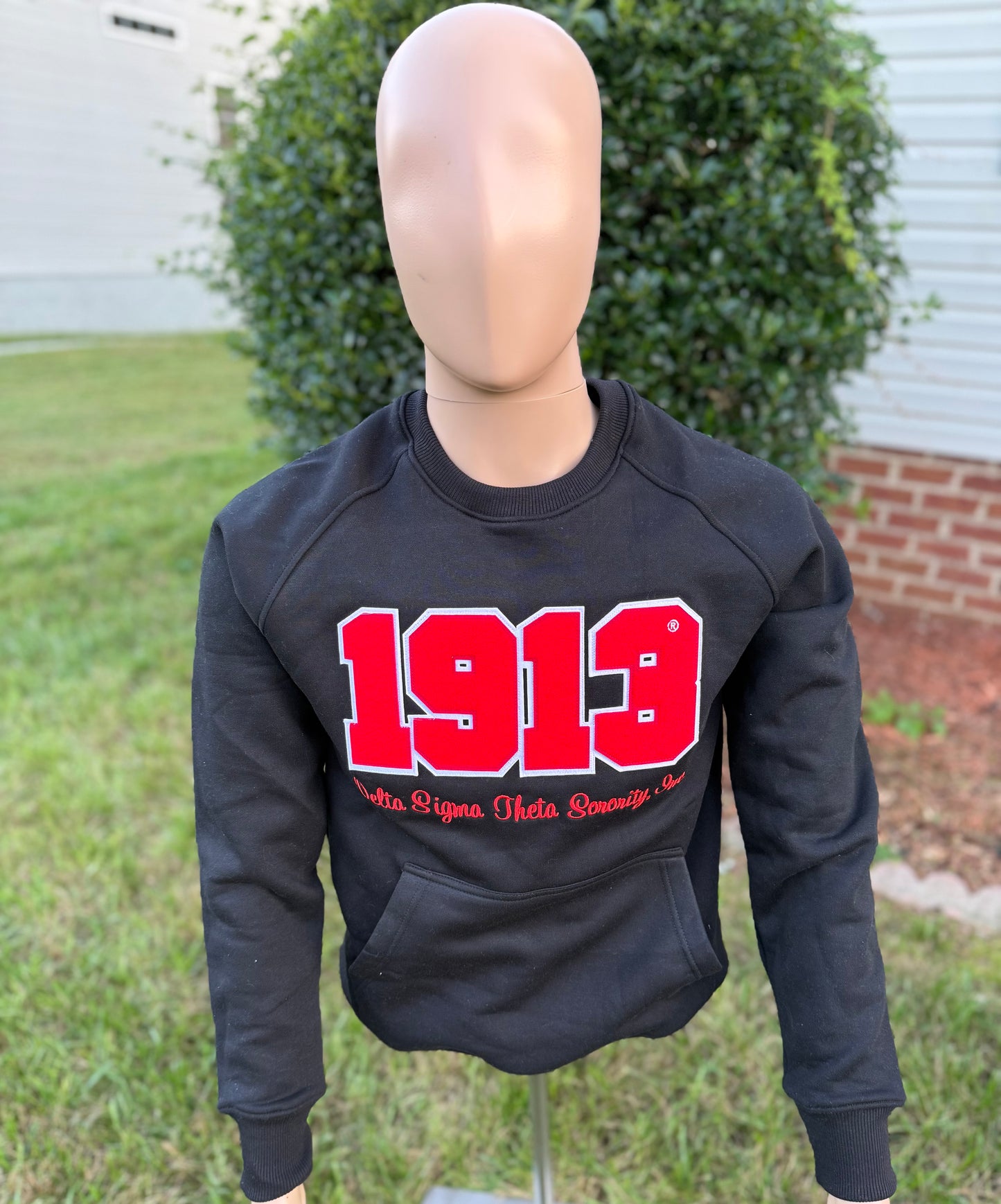 Delta Sigma Theta unisex sweatshirt