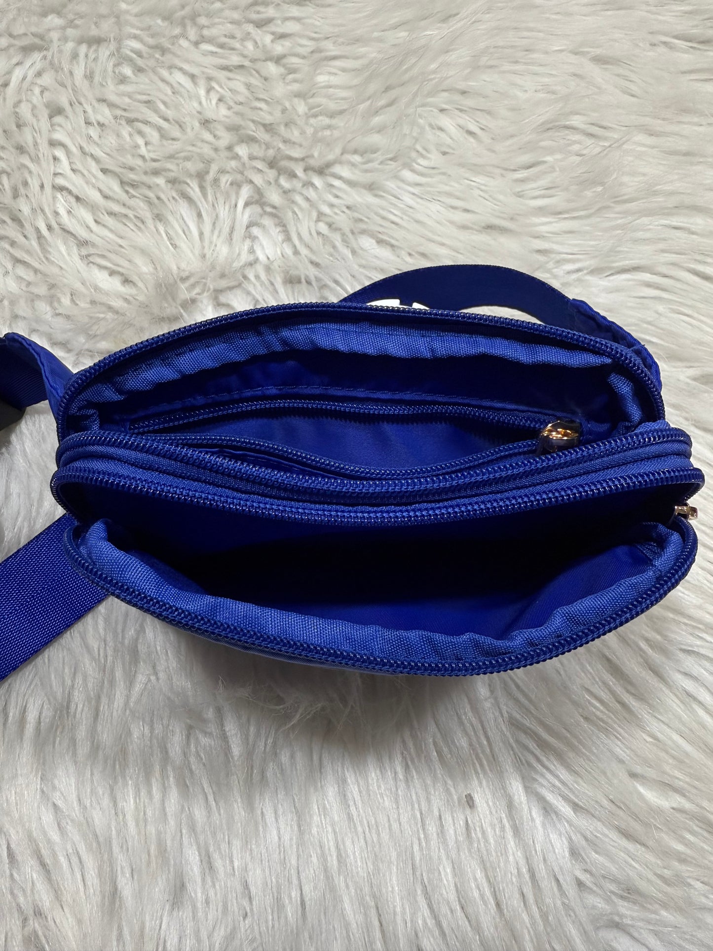Zeta Phi beta Fanny pack /crossbody
