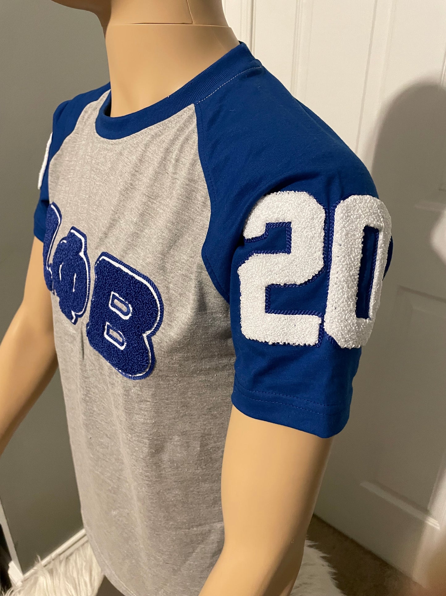 Zeta Phi Beta chenille T shirt
