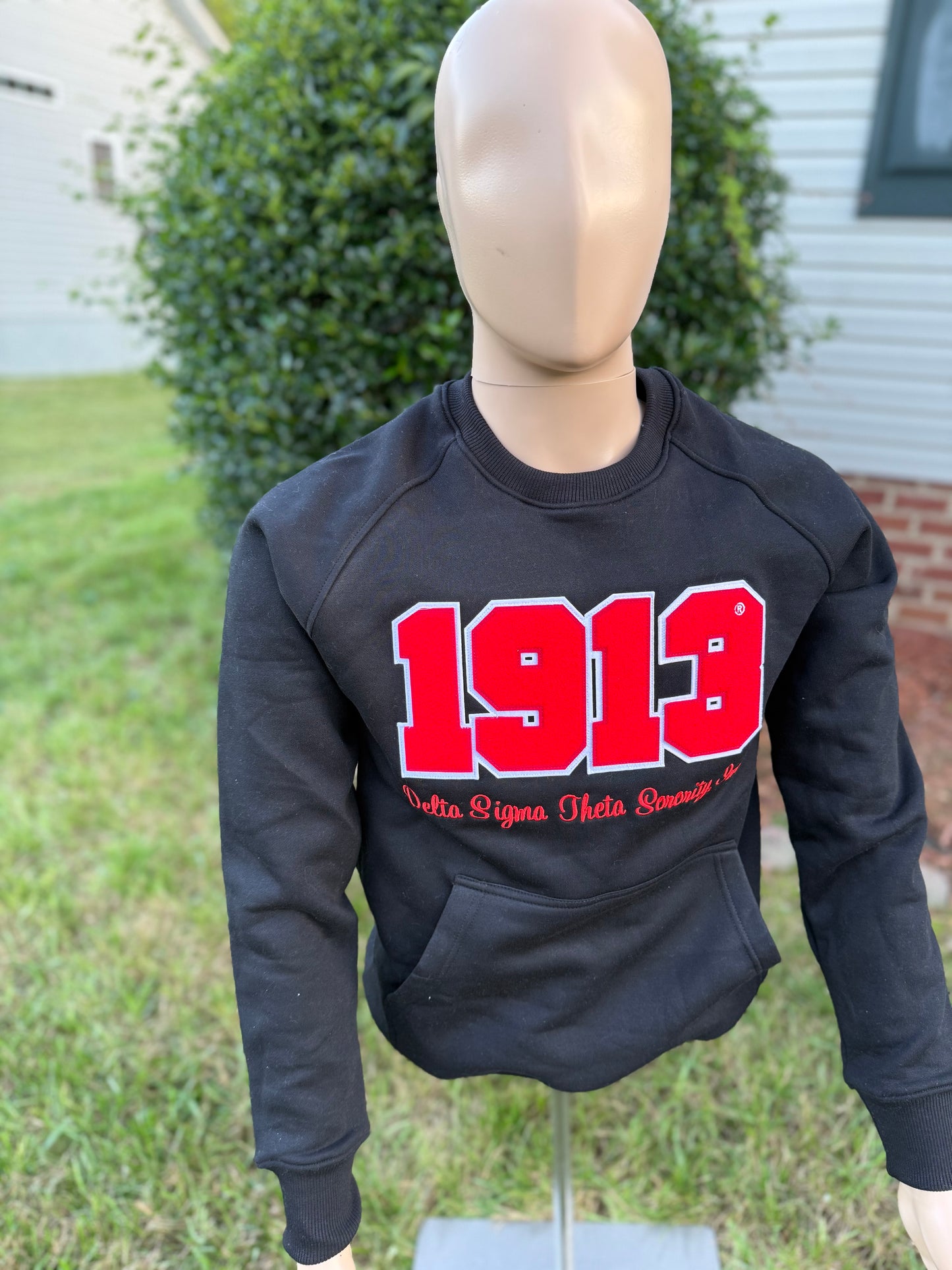 Delta Sigma Theta unisex sweatshirt