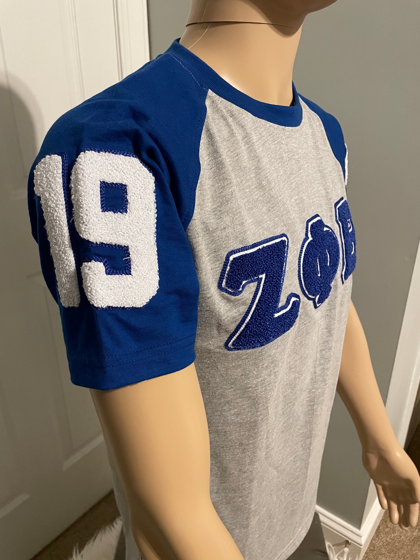 Zeta Phi Beta chenille T shirt