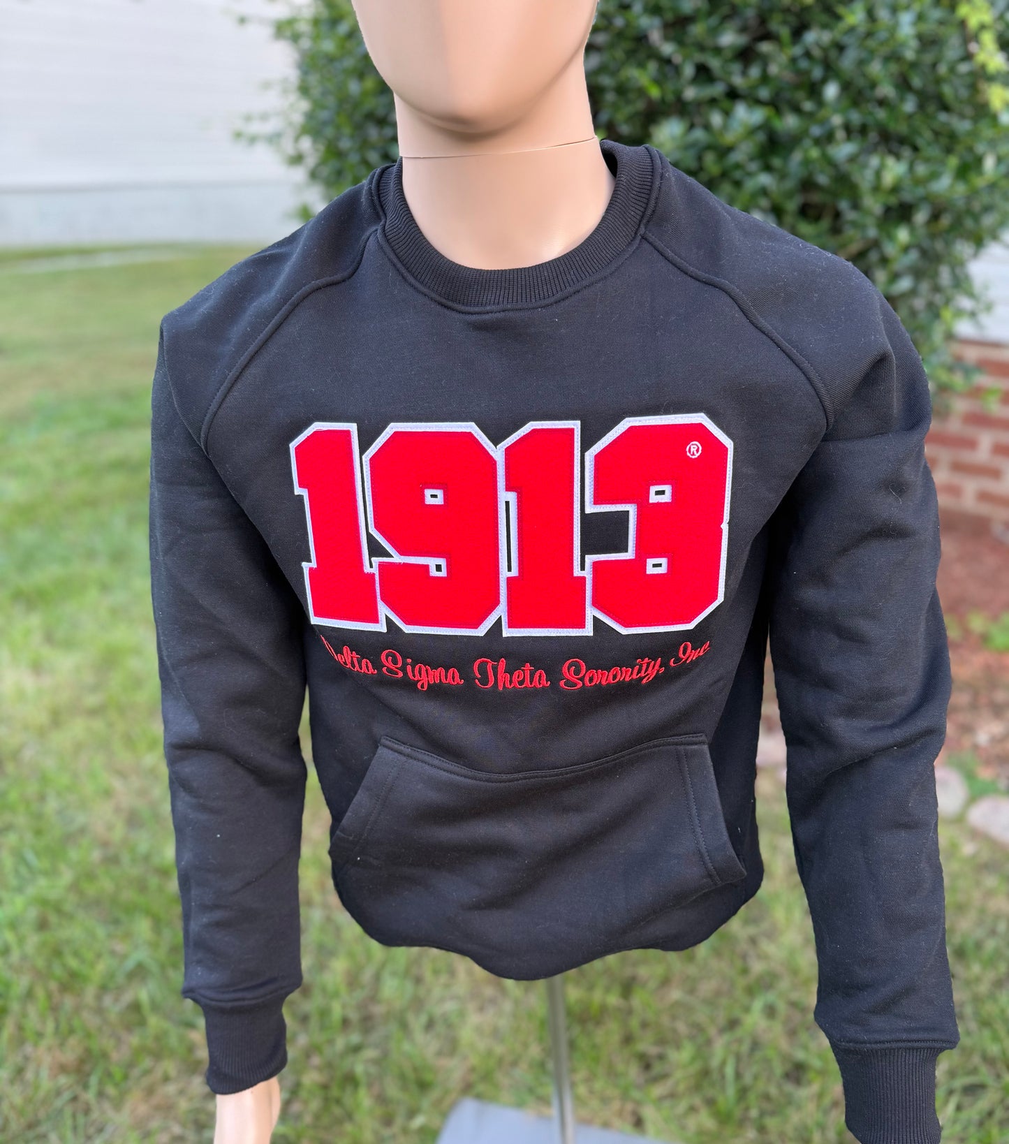 Delta Sigma Theta unisex sweatshirt