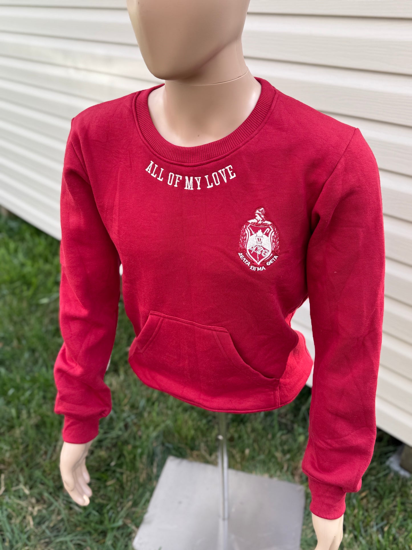 Delta Sigma Theta chenille unisex sweatshirt