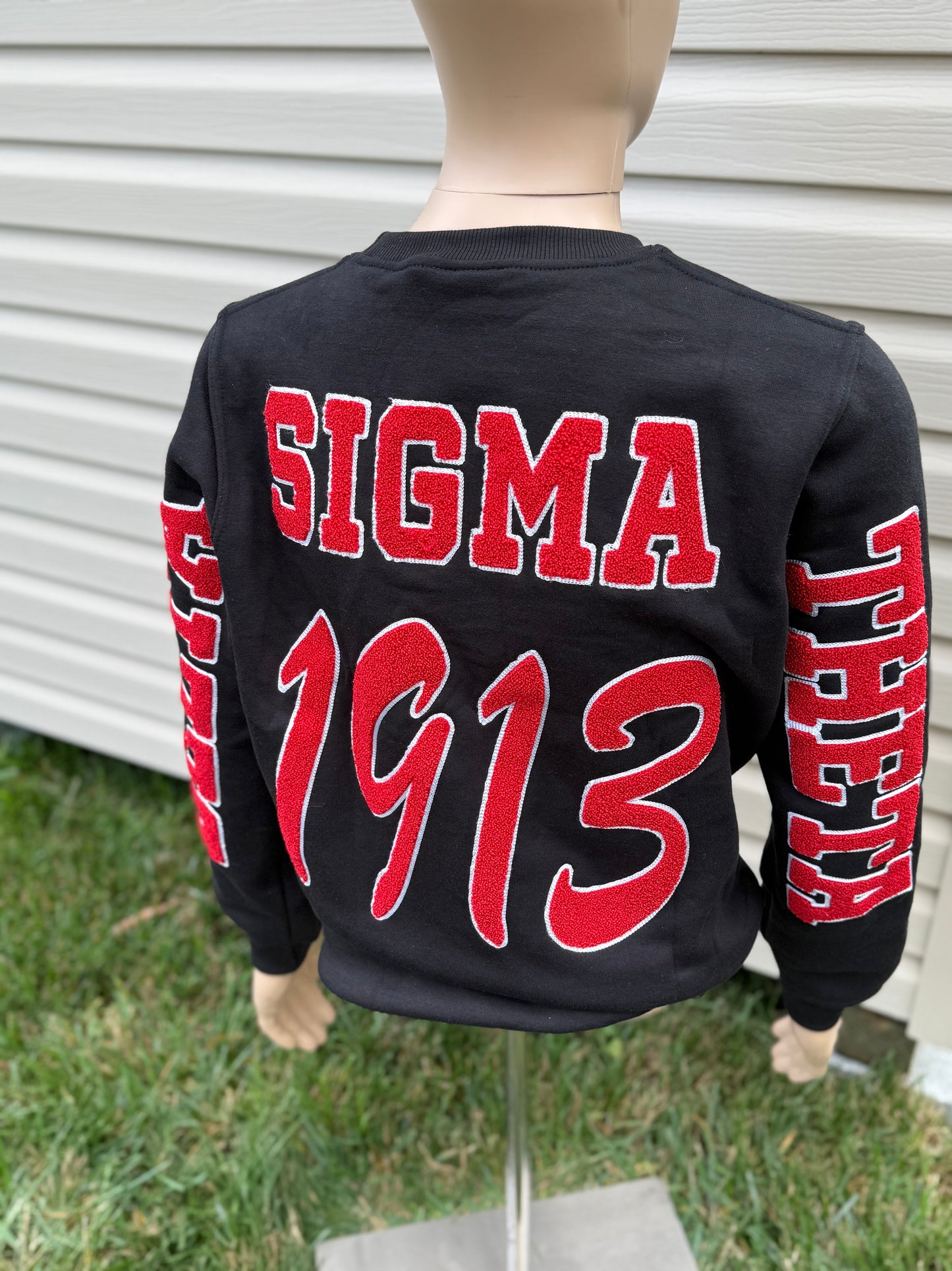 Delta Sigma Theta chenille sweatshirt