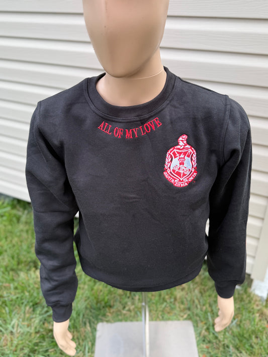 Delta Sigma Theta chenille sweatshirt
