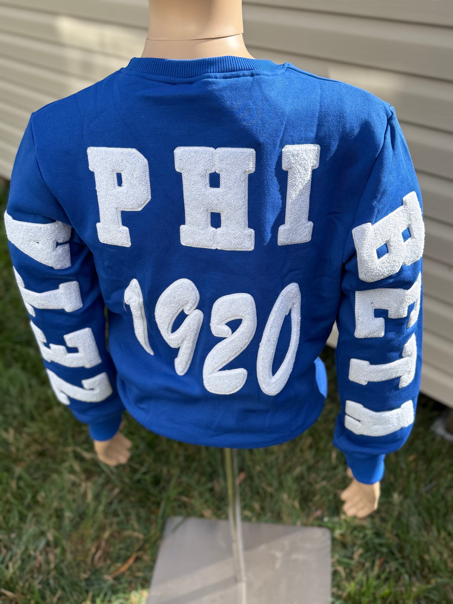 Zeta phi Beta chenille sweatshirt