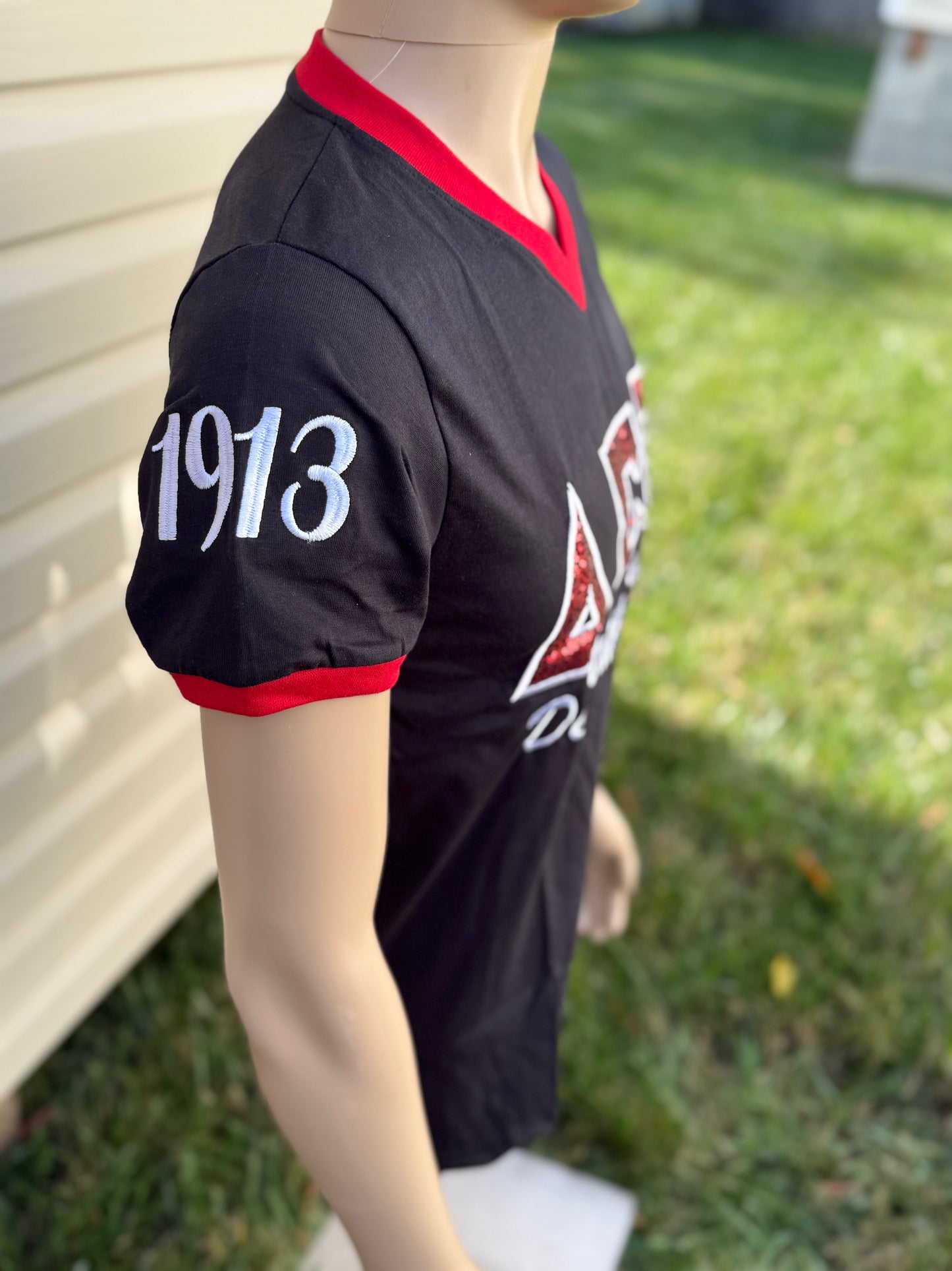 Delta Sigma Theta sequence unisex V-neck shirt