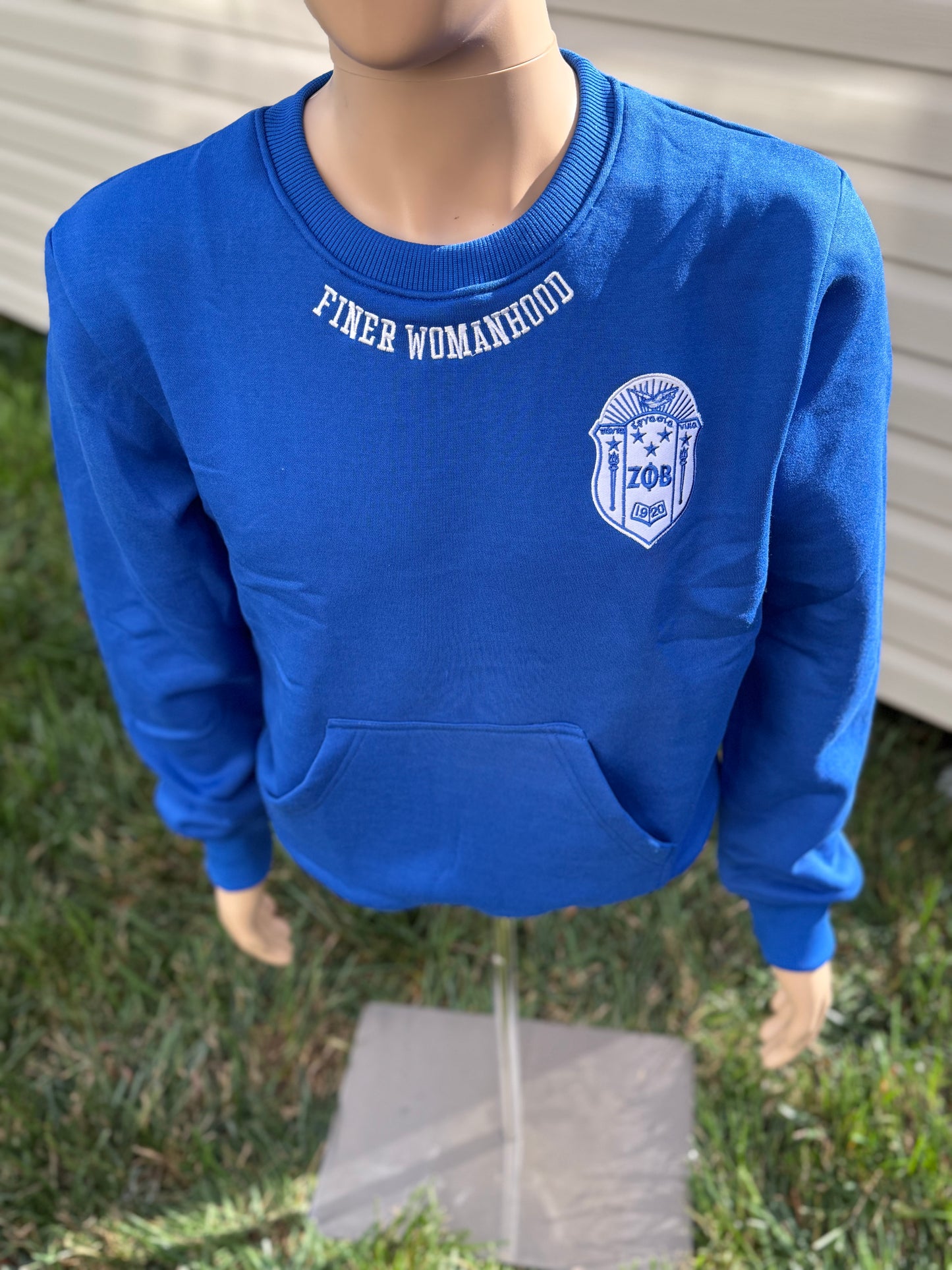 Zeta phi Beta chenille sweatshirt