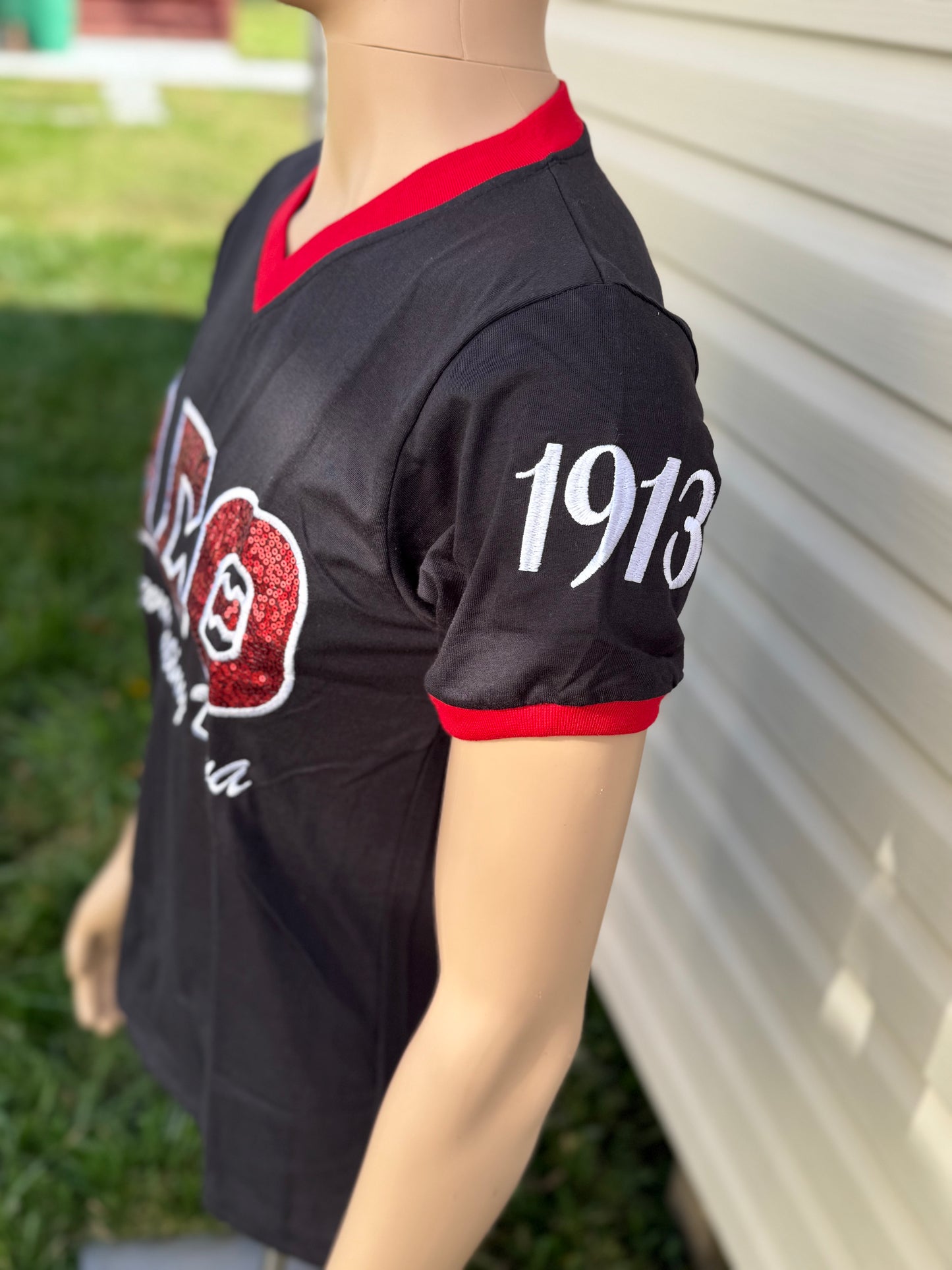 Delta Sigma Theta sequence unisex V-neck shirt