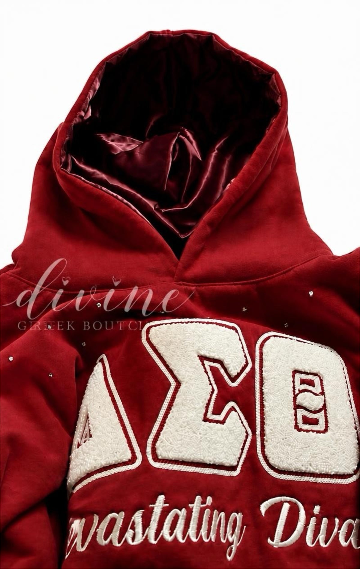 Delta Sigma Theta hoodie