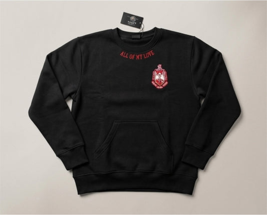 Delta Sigma Theta chenille unisex sweatshirt with POCKETS