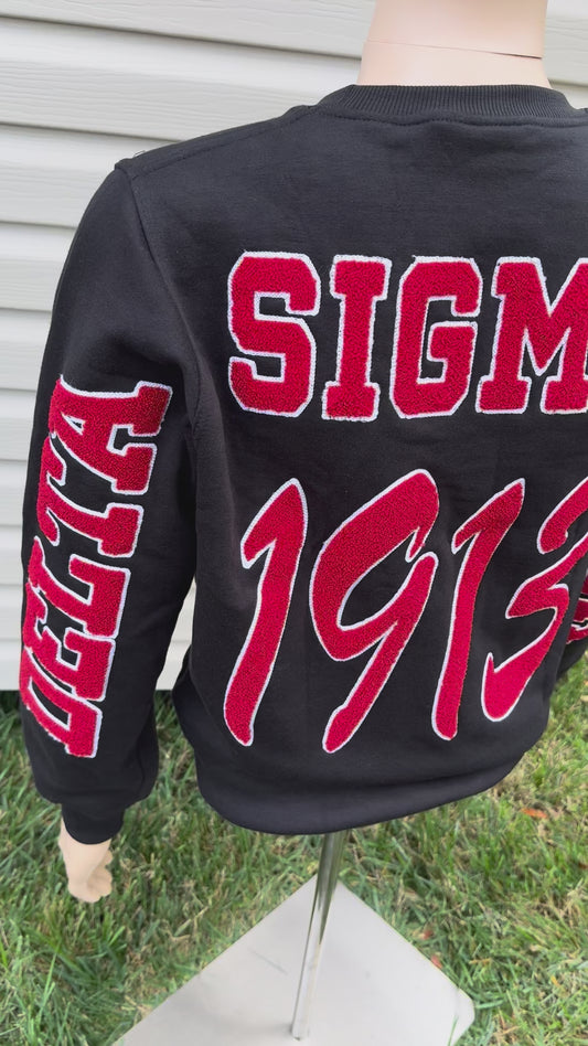 Delta Sigma Theta chenille sweatshirt