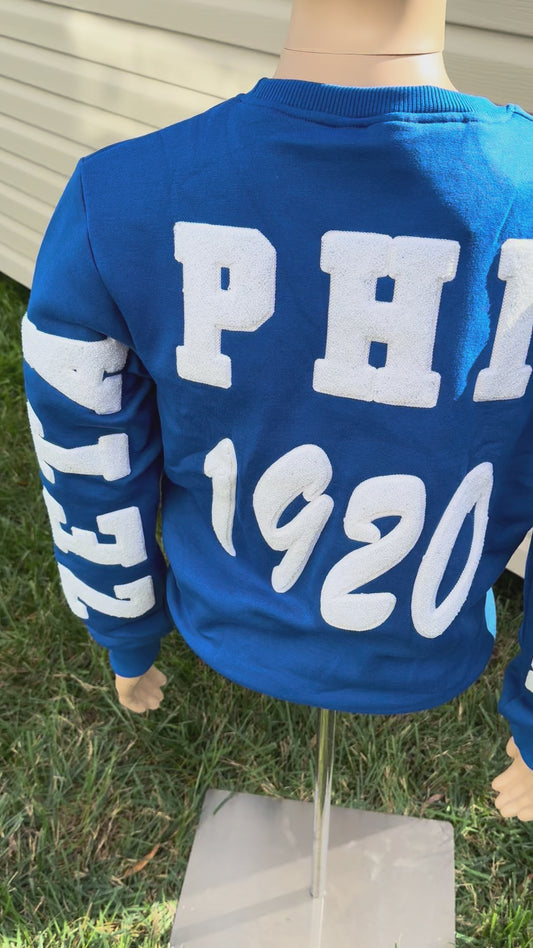 Zeta phi Beta chenille sweatshirt