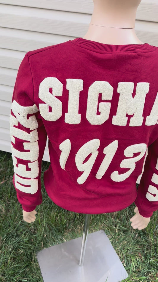 Delta Sigma Theta chenille unisex sweatshirt